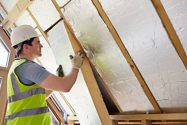 Best Commercial Insulation in Campbell, FL